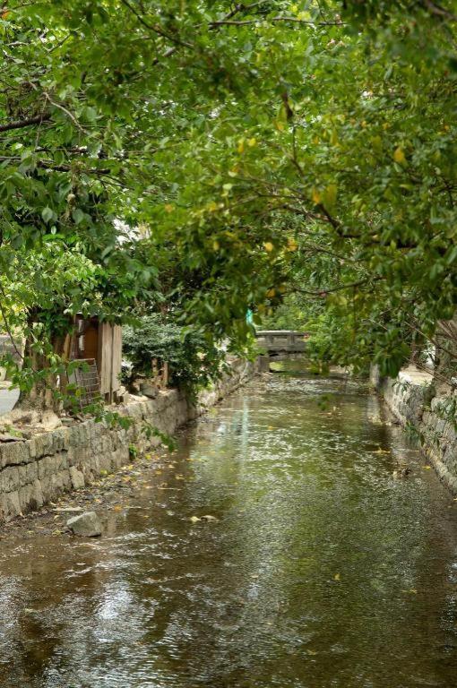 Kyoto Hatsune Hotel מראה חיצוני תמונה